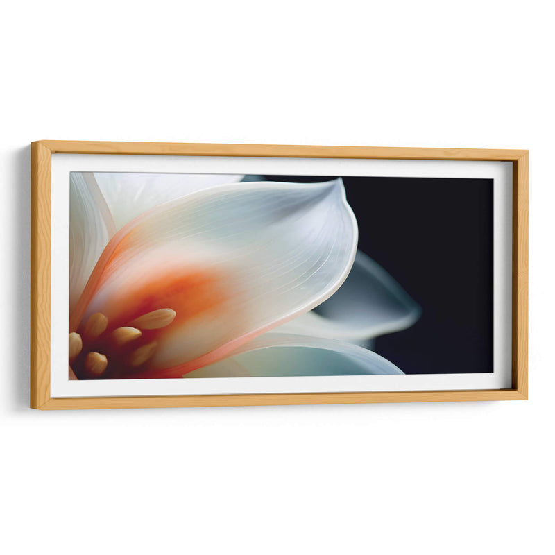 Pétalos transparentes - Juliana Estrada | Cuadro decorativo de Canvas Lab