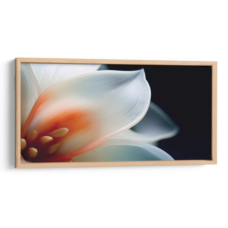 Pétalos transparentes - Juliana Estrada | Cuadro decorativo de Canvas Lab