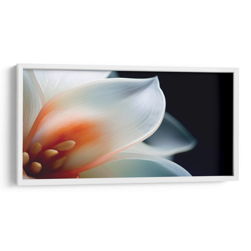 Pétalos transparentes - Juliana Estrada | Cuadro decorativo de Canvas Lab