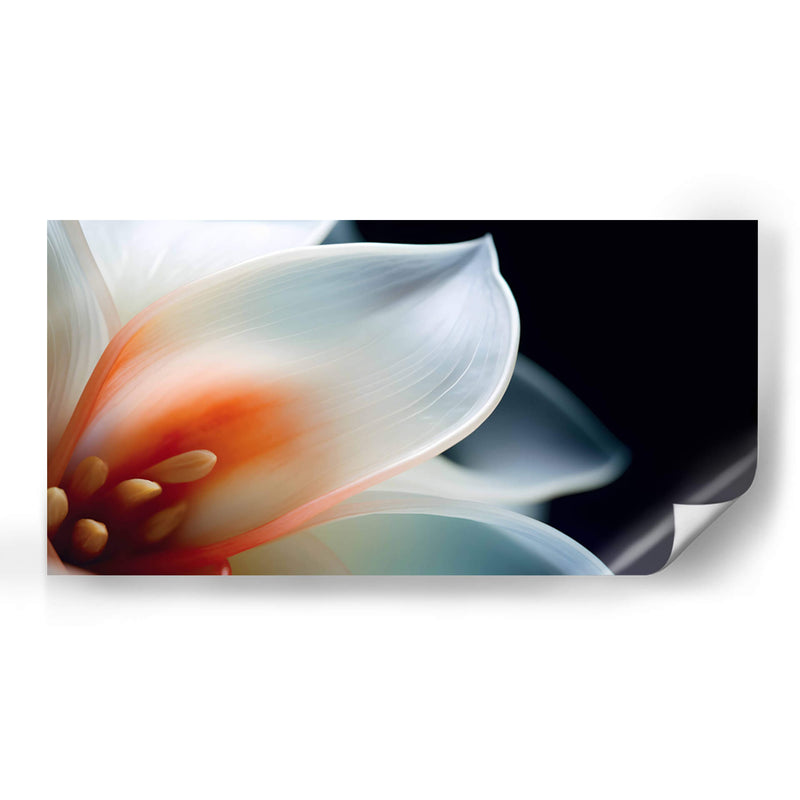 Pétalos transparentes - Juliana Estrada | Cuadro decorativo de Canvas Lab