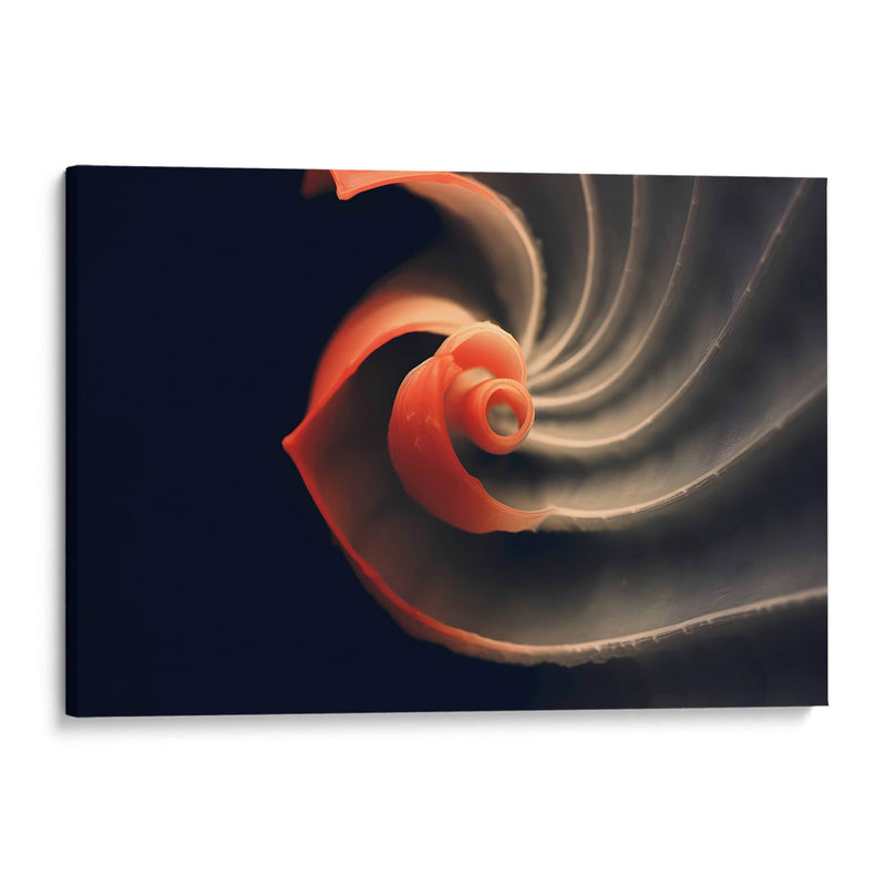 Fósil Rojo - Juliana Estrada | Cuadro decorativo de Canvas Lab