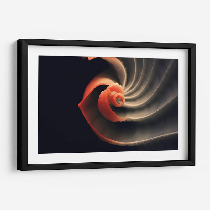 Fósil Rojo - Juliana Estrada | Cuadro decorativo de Canvas Lab