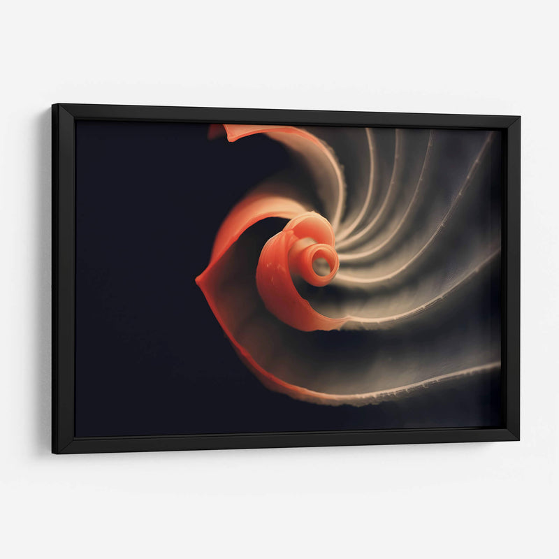 Fósil Rojo - Juliana Estrada | Cuadro decorativo de Canvas Lab