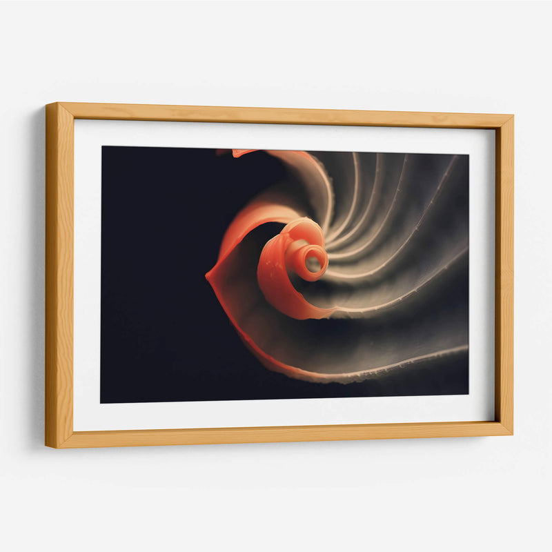 Fósil Rojo - Juliana Estrada | Cuadro decorativo de Canvas Lab