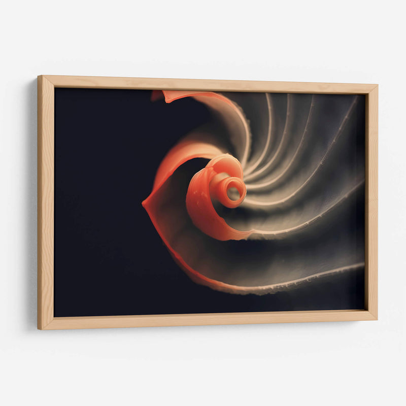 Fósil Rojo - Juliana Estrada | Cuadro decorativo de Canvas Lab