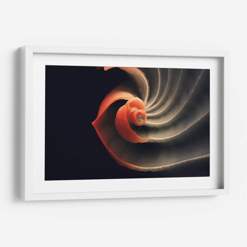Fósil Rojo - Juliana Estrada | Cuadro decorativo de Canvas Lab
