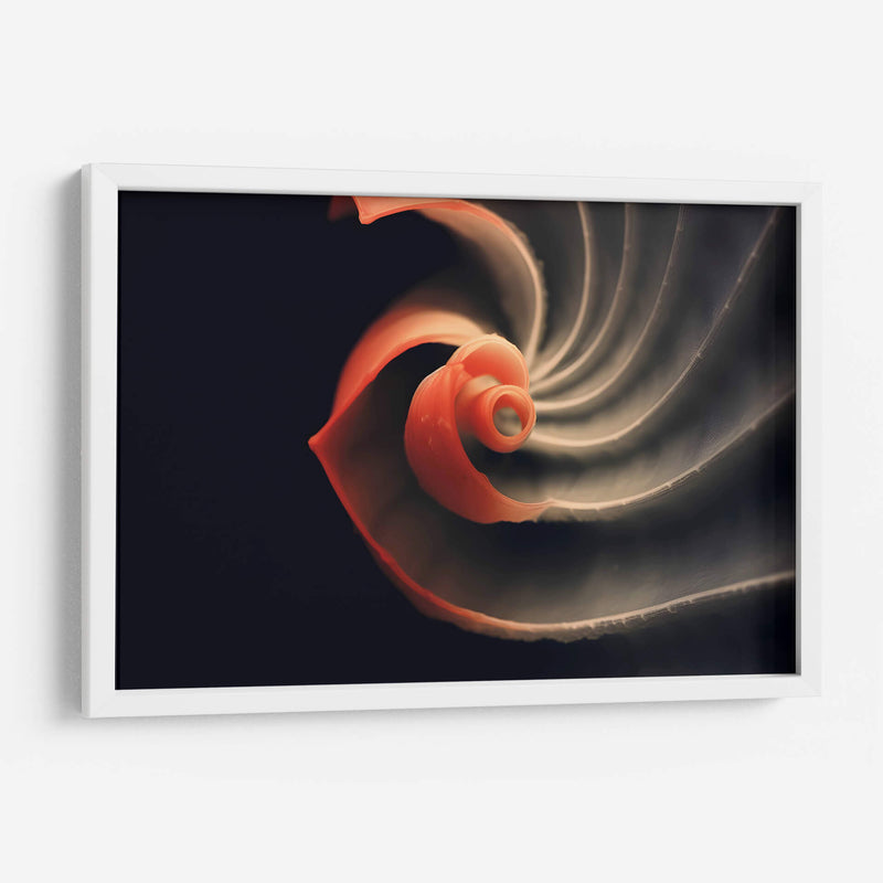 Fósil Rojo - Juliana Estrada | Cuadro decorativo de Canvas Lab