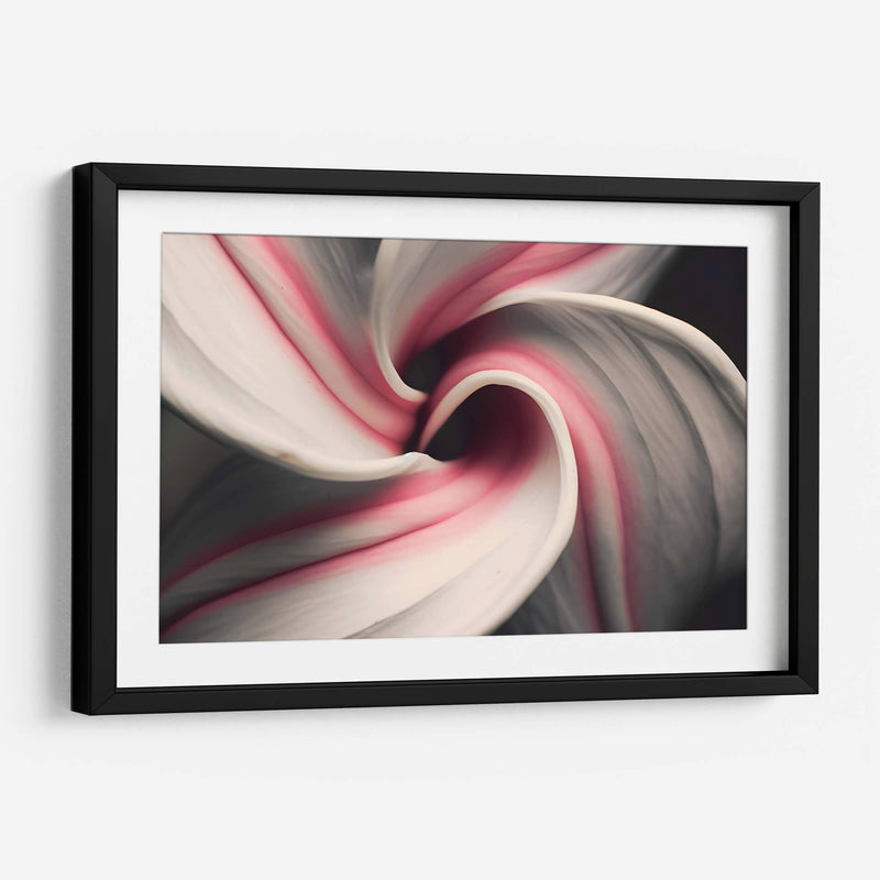 Espiral Rosa - Juliana Estrada | Cuadro decorativo de Canvas Lab