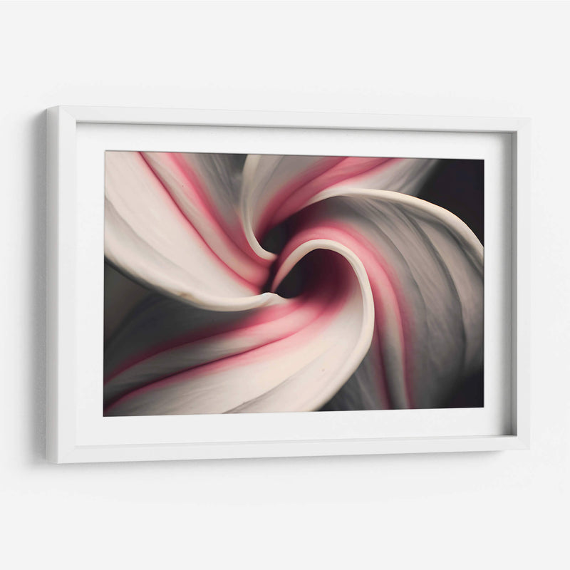 Espiral Rosa - Juliana Estrada | Cuadro decorativo de Canvas Lab