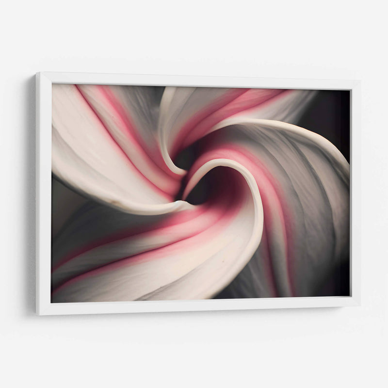 Espiral Rosa - Juliana Estrada | Cuadro decorativo de Canvas Lab