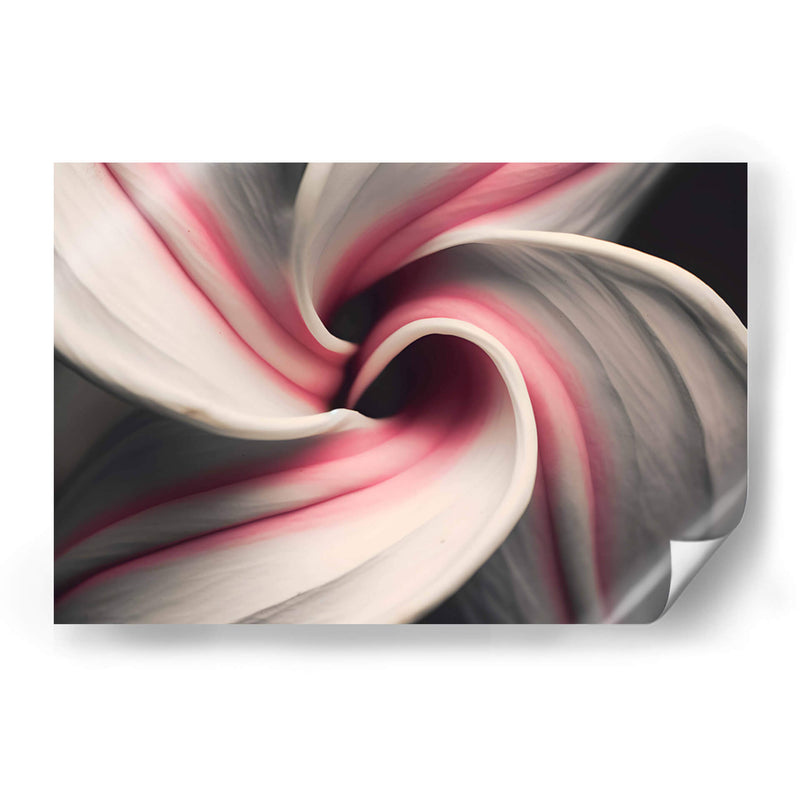 Espiral Rosa - Juliana Estrada | Cuadro decorativo de Canvas Lab