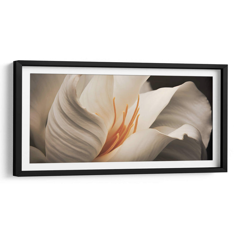 flor blanca y amarilla - Juliana Estrada | Cuadro decorativo de Canvas Lab