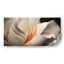 flor blanca y amarilla - Juliana Estrada | Cuadro decorativo de Canvas Lab