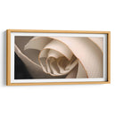 Marchitarse - Juliana Estrada | Cuadro decorativo de Canvas Lab