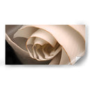 Marchitarse - Juliana Estrada | Cuadro decorativo de Canvas Lab