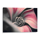 Curvas y espirales - Juliana Estrada | Cuadro decorativo de Canvas Lab