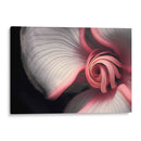 Curvas y espirales 2 - Juliana Estrada | Cuadro decorativo de Canvas Lab