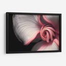 Curvas y espirales 2 - Juliana Estrada | Cuadro decorativo de Canvas Lab