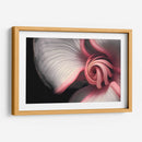 Curvas y espirales 2 - Juliana Estrada | Cuadro decorativo de Canvas Lab