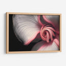 Curvas y espirales 2 - Juliana Estrada | Cuadro decorativo de Canvas Lab