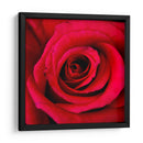 ROSA ROJA - Ariadne Contreras | Cuadro decorativo de Canvas Lab