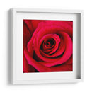 ROSA ROJA - Ariadne Contreras | Cuadro decorativo de Canvas Lab