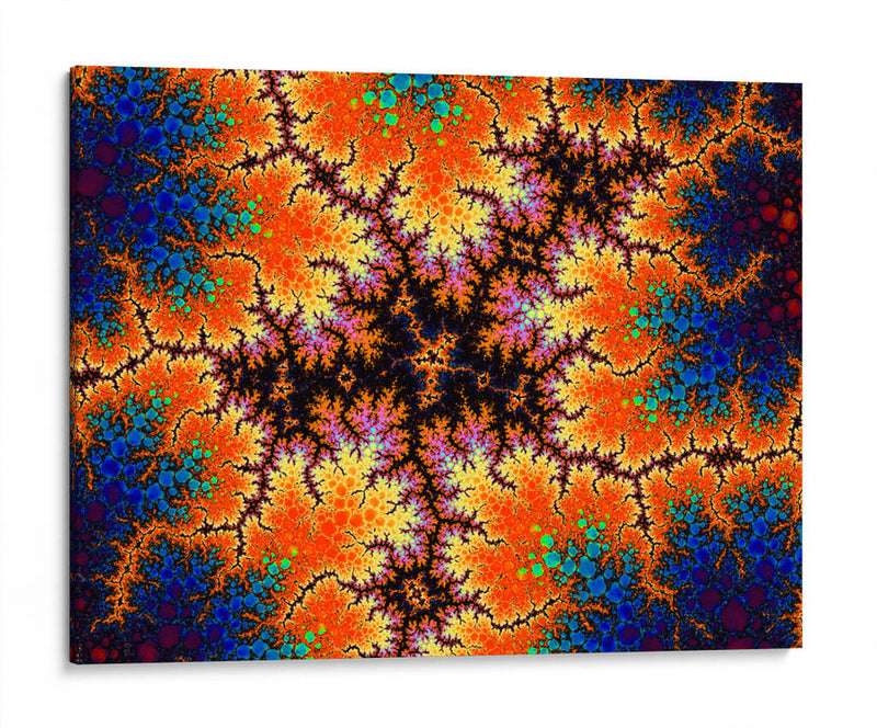 Fractal Fragment 12 -A - Eric de Lucio | Cuadro decorativo de Canvas Lab