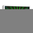 Fractal Fragment 18 -D - Eric de Lucio | Cuadro decorativo de Canvas Lab