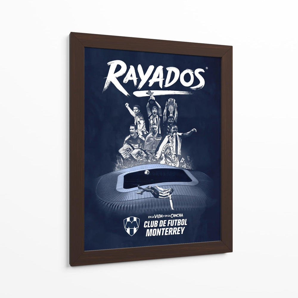 En la vida y en la cancha III - Rayados | Cuadro decorativo de Canvas Lab
