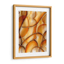 Burbujas de Naranja - Maibet Boenka | Cuadro decorativo de Canvas Lab