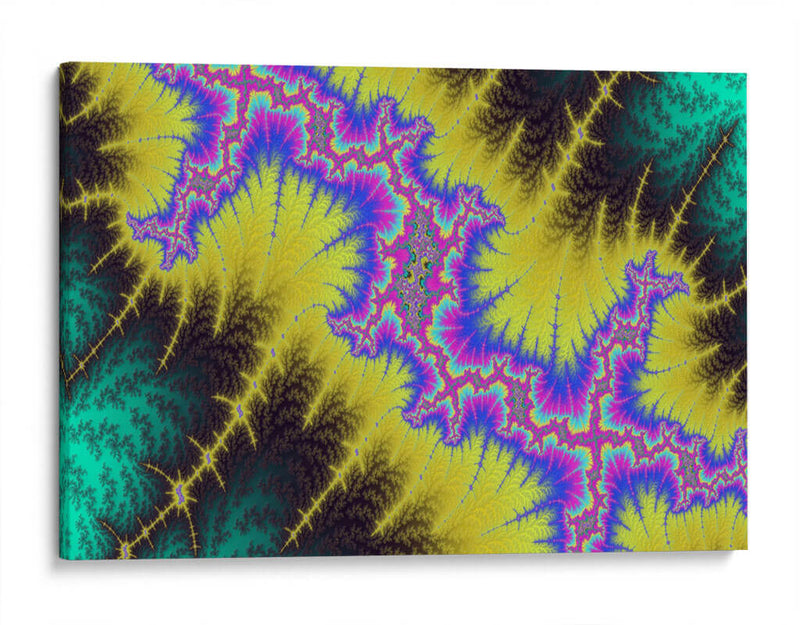 Fractal Fragment 24 - Eric de Lucio | Cuadro decorativo de Canvas Lab