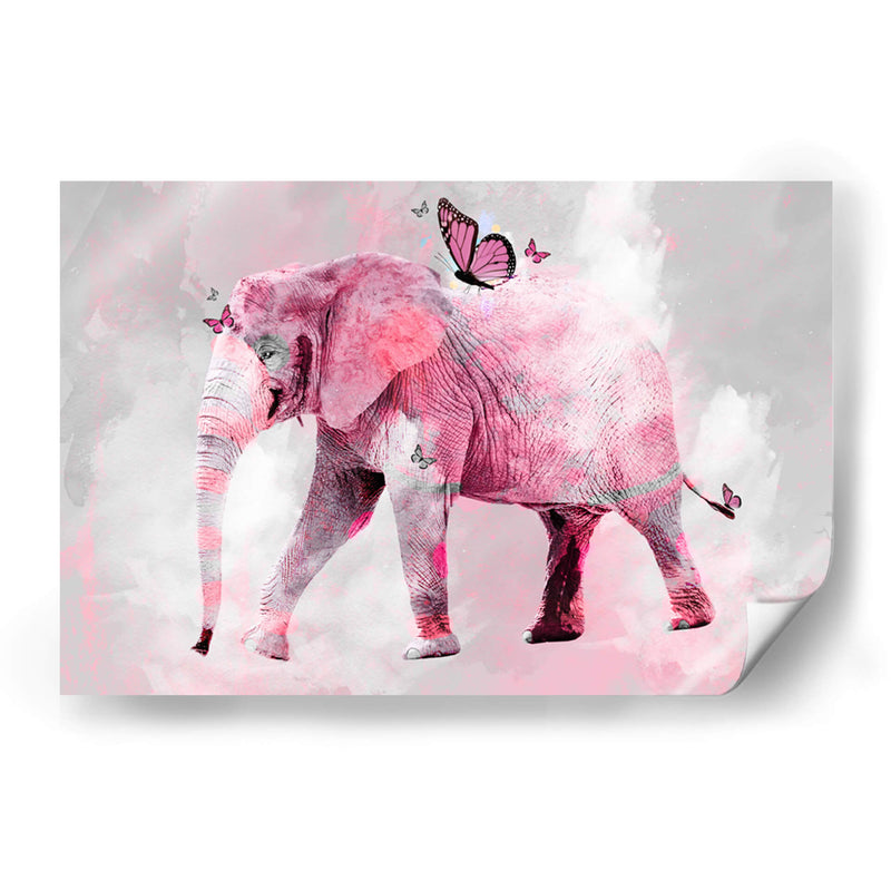 Elefante y mariposas - Lofty&Me | Cuadro decorativo de Canvas Lab