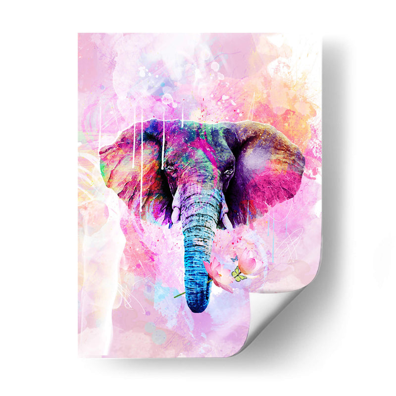 Elefante Splash - Lofty&Me | Cuadro decorativo de Canvas Lab