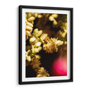 Abeja Colores - Chepo Murua | Cuadro decorativo de Canvas Lab