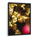 Abeja Colores - Chepo Murua | Cuadro decorativo de Canvas Lab