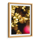 Abeja Colores - Chepo Murua | Cuadro decorativo de Canvas Lab