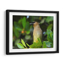 Chinito en la mira - Isabel Soria | Cuadro decorativo de Canvas Lab