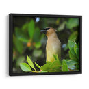 Chinito en la mira - Isabel Soria | Cuadro decorativo de Canvas Lab