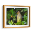 Chinito en la mira - Isabel Soria | Cuadro decorativo de Canvas Lab