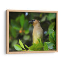 Chinito en la mira - Isabel Soria | Cuadro decorativo de Canvas Lab