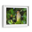 Chinito en la mira - Isabel Soria | Cuadro decorativo de Canvas Lab