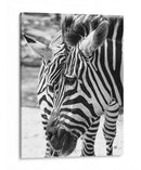 Blanco y Negro - Chepo Murua | Cuadro decorativo de Canvas Lab