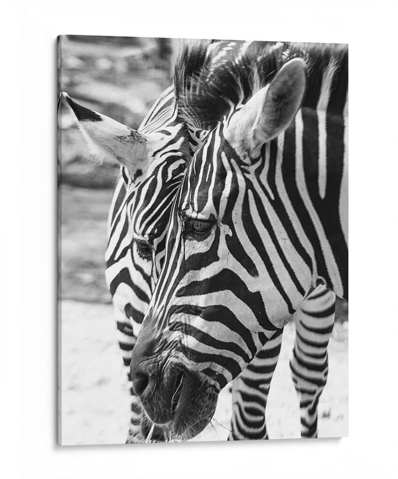 Blanco y Negro - Chepo Murua | Cuadro decorativo de Canvas Lab