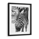 Blanco y Negro - Chepo Murua | Cuadro decorativo de Canvas Lab