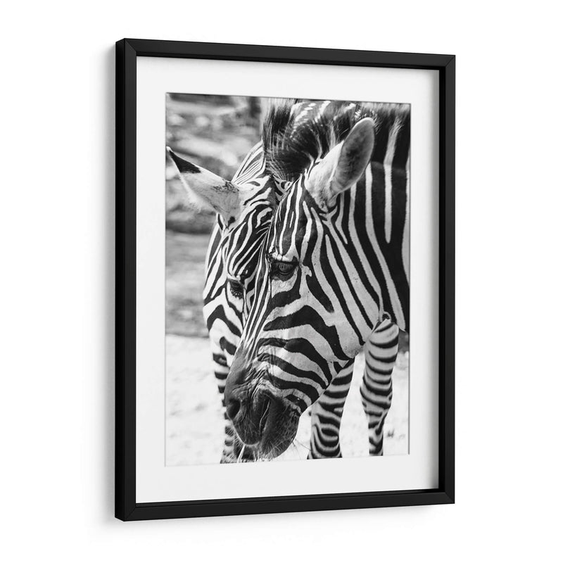 Blanco y Negro - Chepo Murua | Cuadro decorativo de Canvas Lab