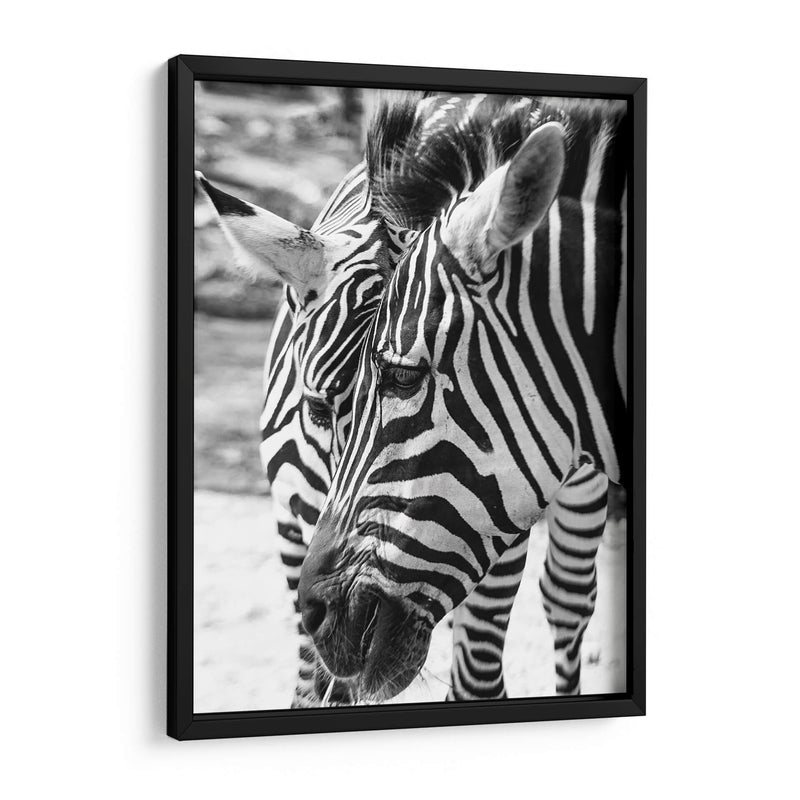 Blanco y Negro - Chepo Murua | Cuadro decorativo de Canvas Lab