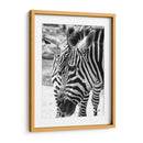 Blanco y Negro - Chepo Murua | Cuadro decorativo de Canvas Lab