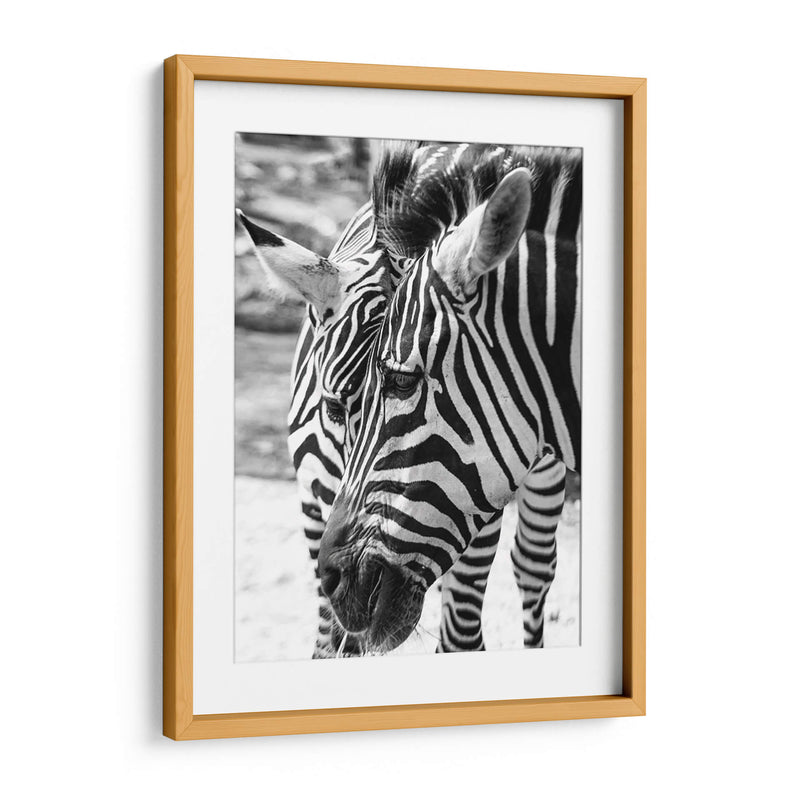 Blanco y Negro - Chepo Murua | Cuadro decorativo de Canvas Lab