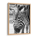 Blanco y Negro - Chepo Murua | Cuadro decorativo de Canvas Lab