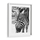 Blanco y Negro - Chepo Murua | Cuadro decorativo de Canvas Lab